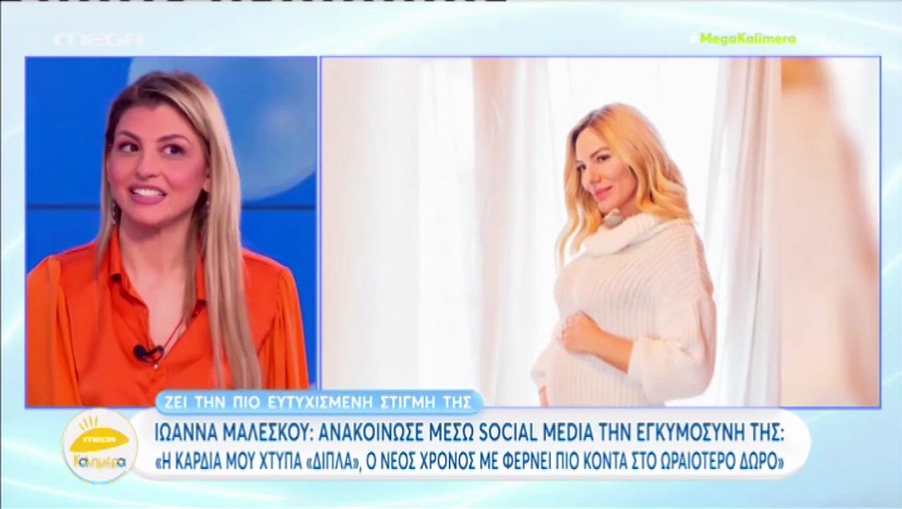 Μελέτη για Μαλέσκου: «Μου είχαν πει ότι είναι έγκυος» - Η επικοινωνία των δύο γυναικών