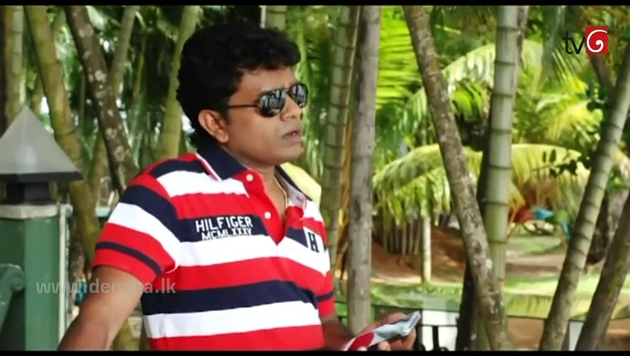 Neela Paligu Diya Ep 84