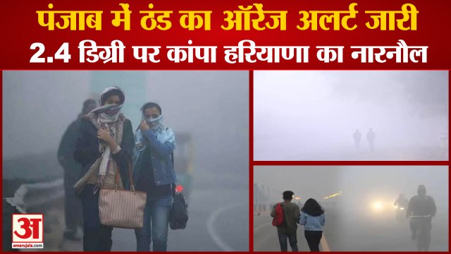 Weather Update Punjab-Haryana|पंजाब-हरियाणा में कड़ाके की ठंड, 2.4 डिग्री पर कांपा नारनौल|Cold Wave