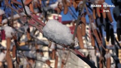 Mevsim normallerini aşan Muş'a beklenen kar geldi