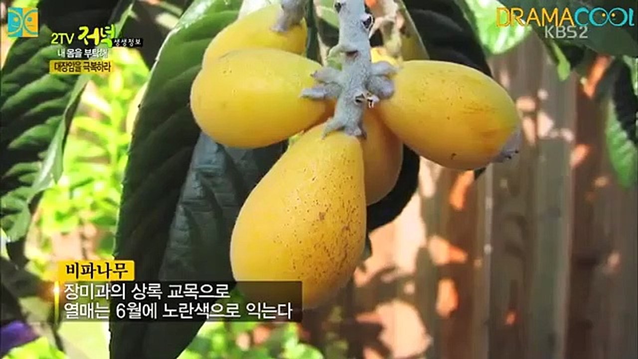 Live Info Show 2 - Ep61 HD Watch