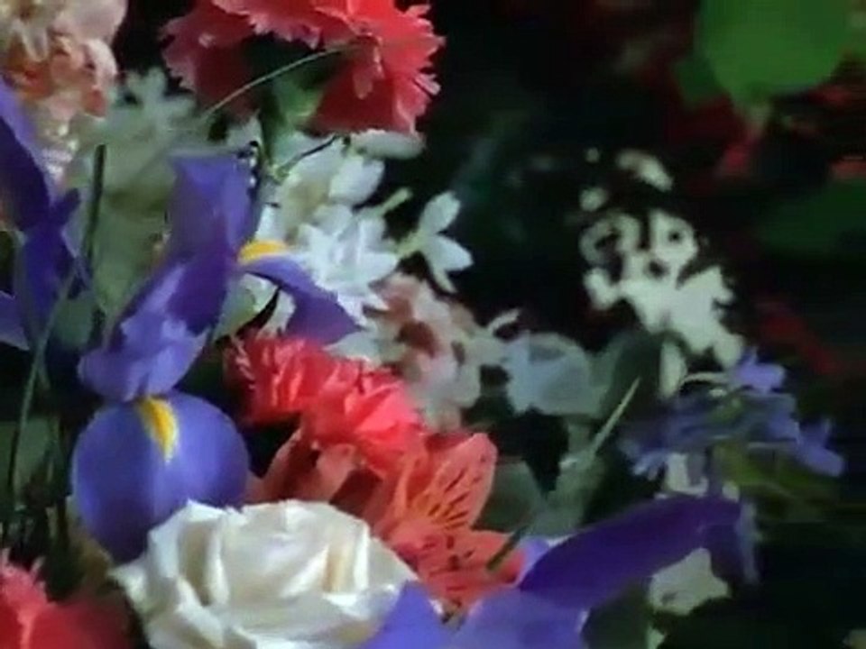 Everwood - Se1 - Ep12 HD Watch