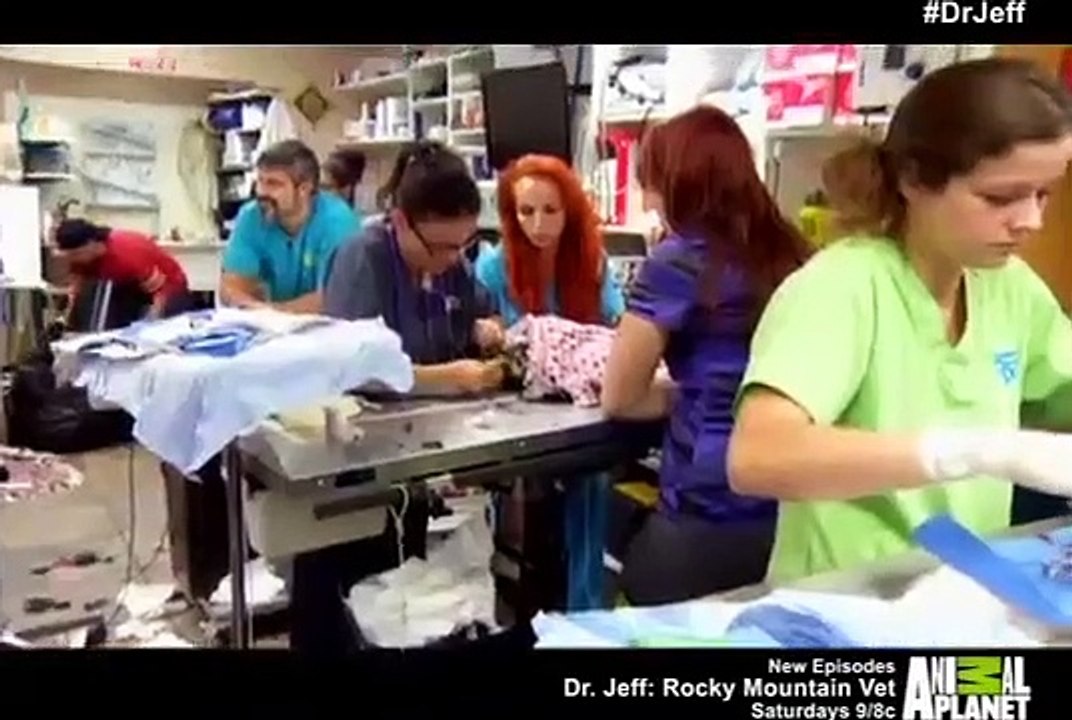 Dr. Jeff - Rocky Mountain Vet - Se2 - Ep01 HD Watch