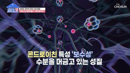 『 콘드로이친 』 김학도 모자의 관절 건강 비법 TV CHOSUN 20230109 방송