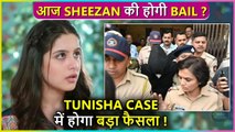 Sheezan Khan To Get Bail Today In Tunisha Sharma Case ? Details Inside