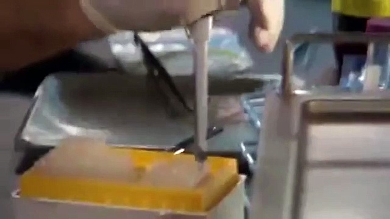 ReGenesis - Se3 - Ep10 - Unbearable HD Watch