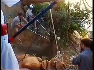 Crocodile Hunter - Ep43 HD Watch