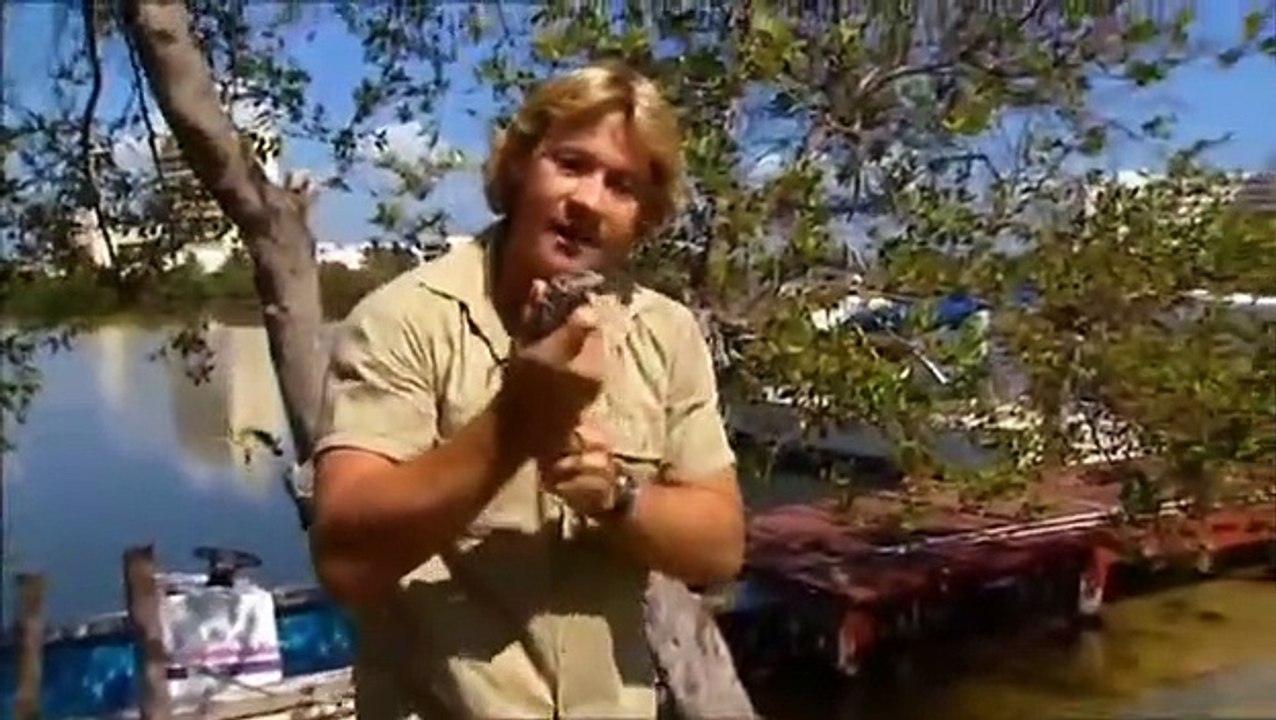 Crocodile Hunter - Ep47 HD Watch