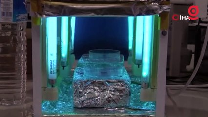 FMF hastalığı için umut veren proje: Geliştirilen yöntemle hastalığın tanısı 30 dakikada belirlenecek