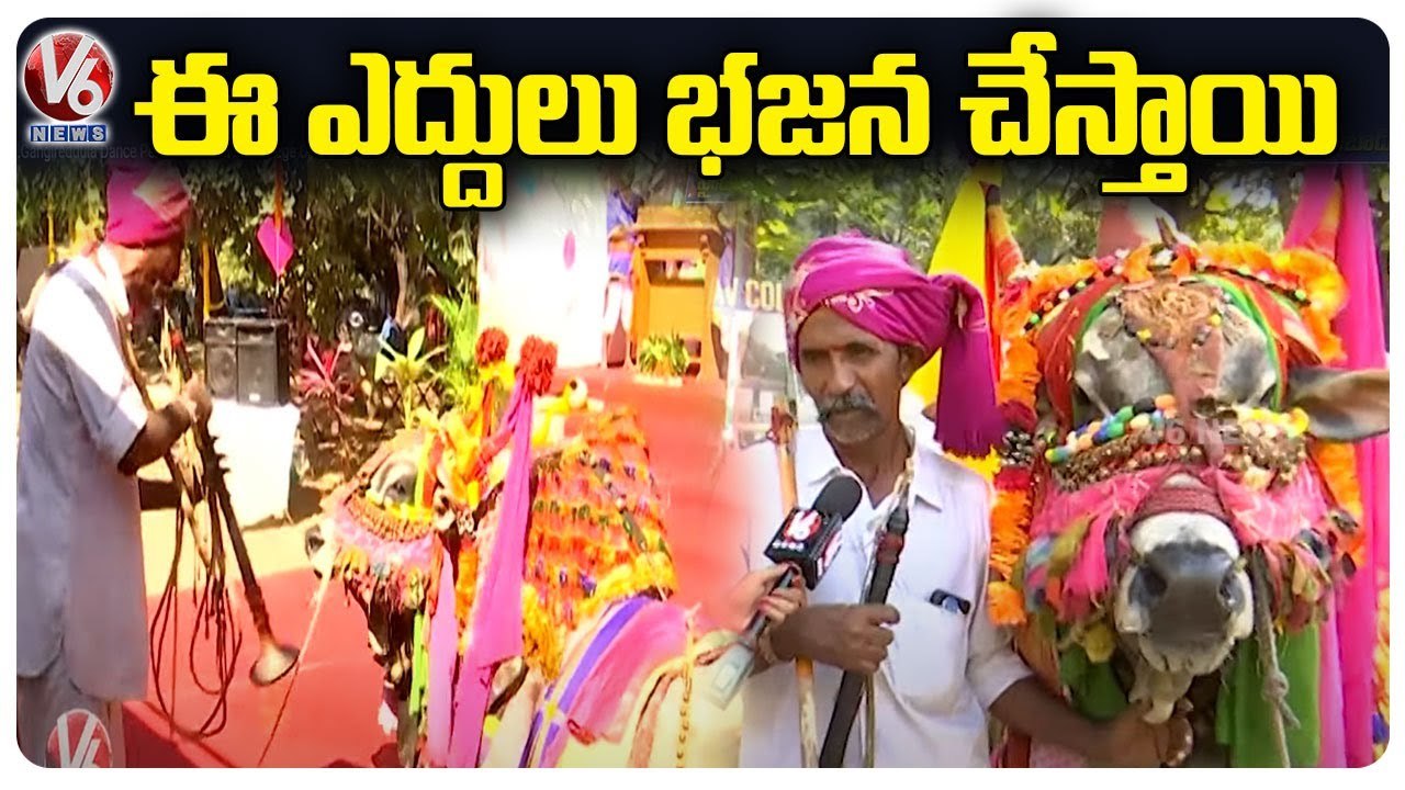 Gangireddula Dance Performance At AV College Over Sankranthi Celebrations | V6 News