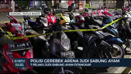 Polisi Gerebek Arena Judi Sabung Ayam, 7 Pelaku Ditangkap