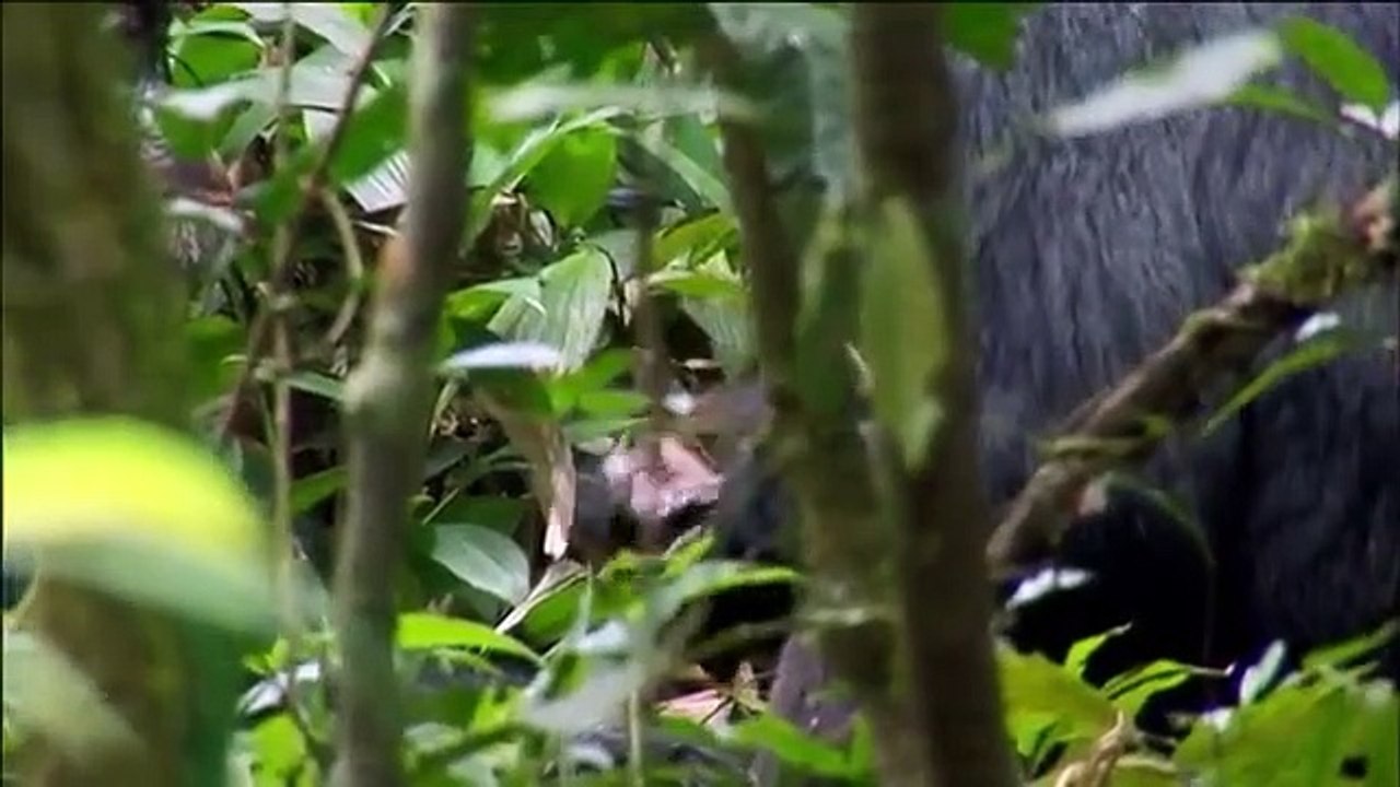 Why We Hate - Se1 - Ep01 - Origins HD Watch