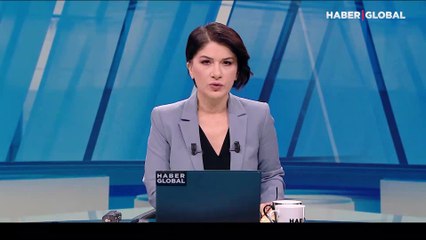 Köpeklerden kaçan vaşak ağaçta mahsur kaldı