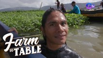 Creating the most nutritious side dish, the Filipino Salad! | Farm To Table