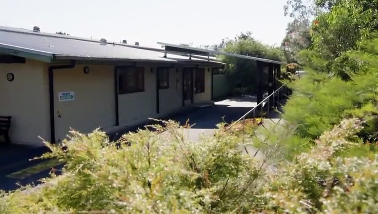 Crikey! It's the Irwins - Se2 - Ep08 - Robert Trains a Dragon HD Watch