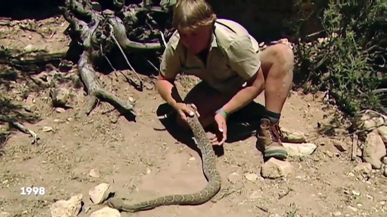 Crikey! It's the Irwins - Se2 - Ep11 HD Watch