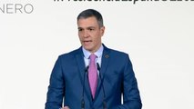 Pedro Sánchez alerta sobre el auge de la ultraderecha 