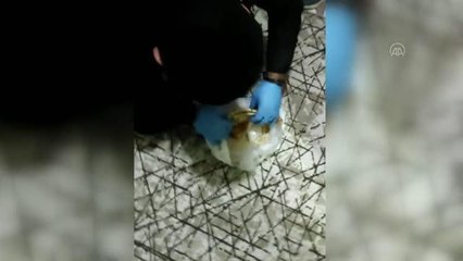 Ekmek arasına gizlenmiş uyuşturucu ele geçirilen operasyonda 3 kişi tutuklandı