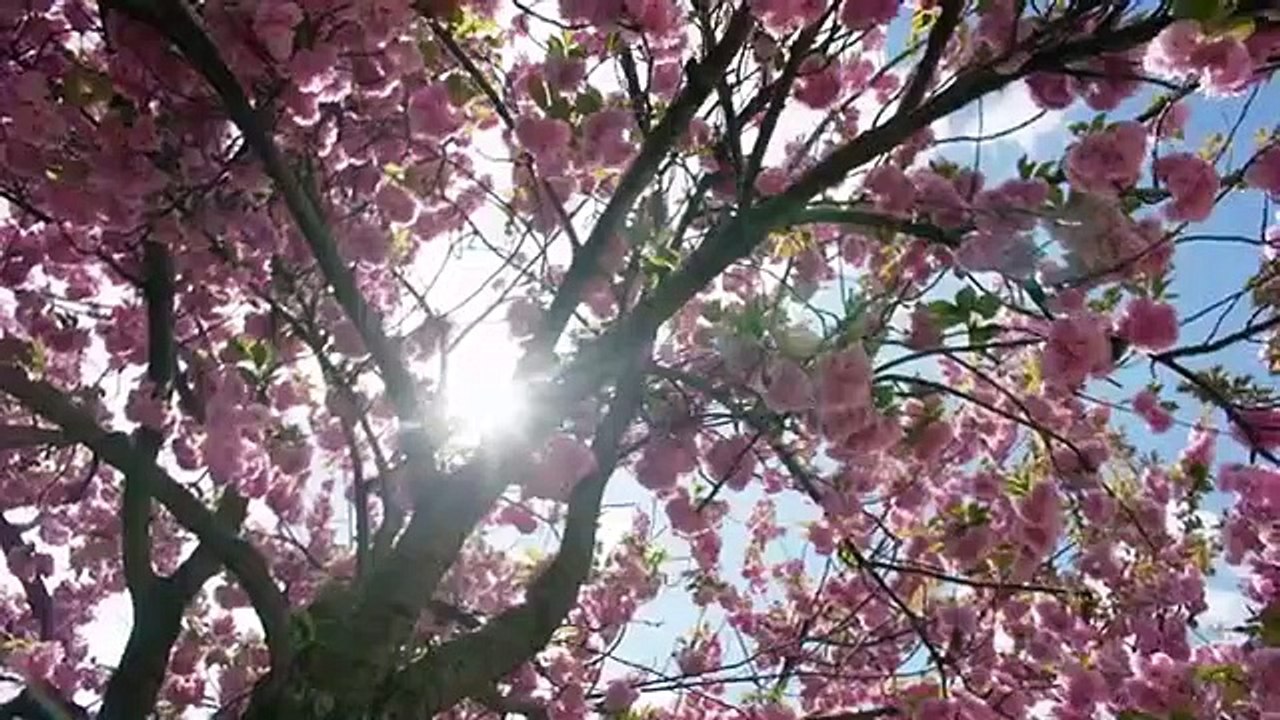 Lorena - Se1 - Ep02 - A Woman in Trouble HD Watch