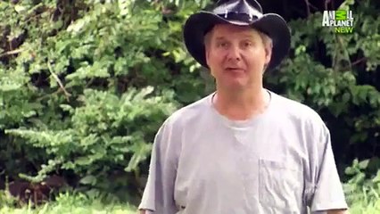 Call of the Wildman - Se4 - Ep11 HD Watch