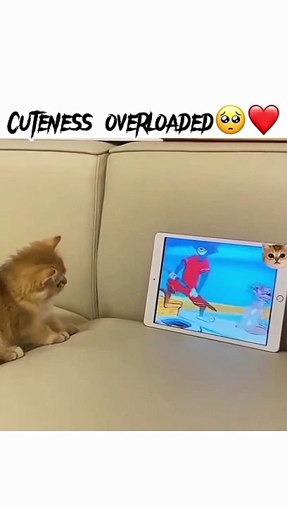 Cica és Jerry