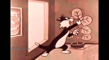 GATTO SILVESTRO E TITTI IL CANARINO