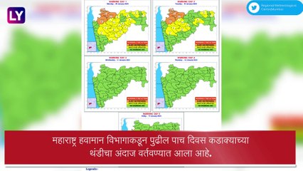 Maharashtra Winter Update: राज्यात थंडीचा कडाका वाढला! तीव्र अनेक भागात शीत लाटेचा इशारा