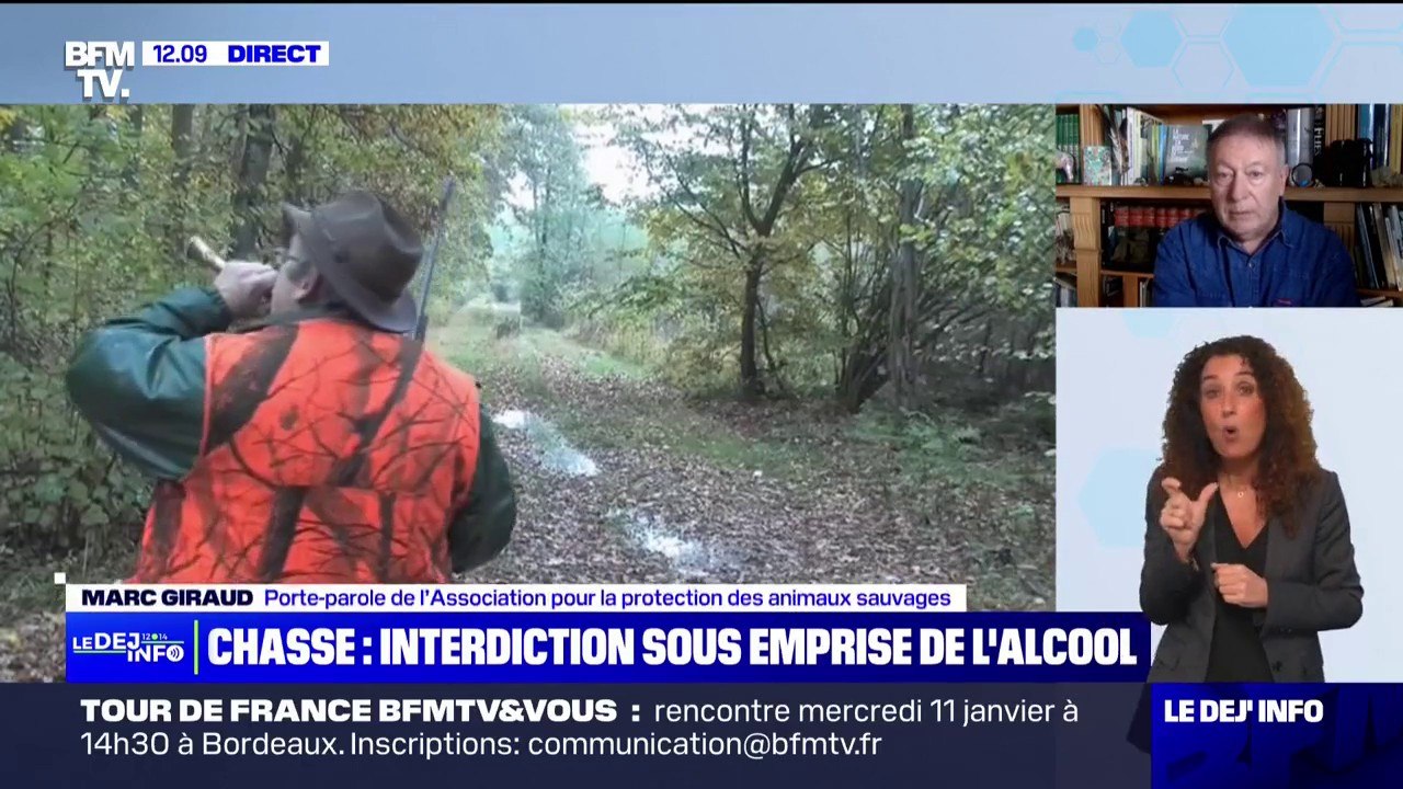 "Les gouvernements sont à genoux devant le lobby de la chasse", selon l'Association pour la protection des animaux sauvages