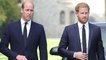 Prince Harry accuses royal family of ‘horrible reaction’ on day of Queen’s death