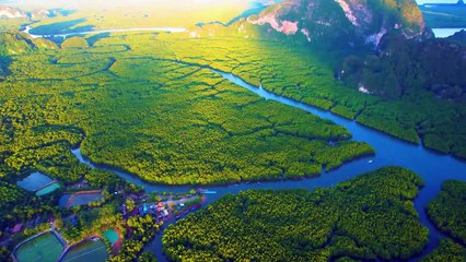 Beautiful Piano Music - Peaceful Piano Music For Stress Relief, Deep Focus, Meditation