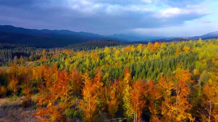 Beautiful Relaxing Music - Peaceful Piano Music, Soothing Music, Positive Music, Study Music