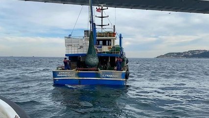 Boğaz’da kaçak trol ağında 400 kilogram balık ele geçirildi
