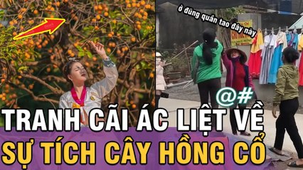 Cuộc đại chiến "2 BÀ HÀNG XÓM" vì cây hồng cổ ở Ninh Bình | Tin 3 phút