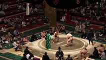 Sumo Wrestler | Sumo Wrestling Match in Japan | Free Stock Video Footage | Romance Post BD