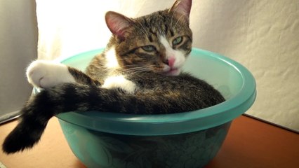 Washing ina Basin Is Much More Comfortable