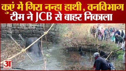 Chhattisgarh News : कुएं में गिरा नन्हा हाथी, वन विभाग की टीम ने सुबह JCB से निकाला बाहर