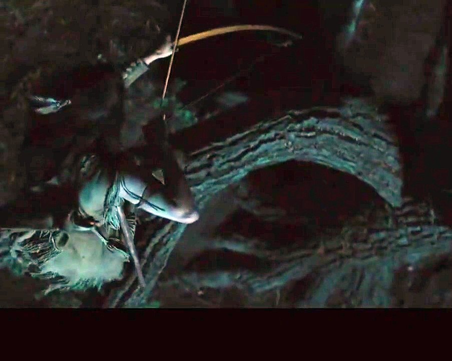 prey predator