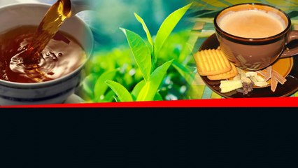 Tea History తెలిస్తే shock అవుతారు.. మనసులు గెలిచిన చాయ్ కథ... *History