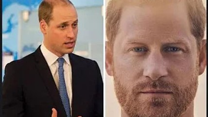 Harry s'est déchaîné à propos des 'bulls ** t' du Brexit après le discours de William au Foreign Off