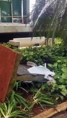 STF após ataques de vandalismo