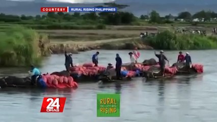 Ilang pananim na sibuyas, nabasa ng baha; pilit isinasalba para mapakinabangan pa | 24 Oras
