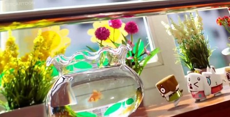 Canimals Canimals E044 Classroom