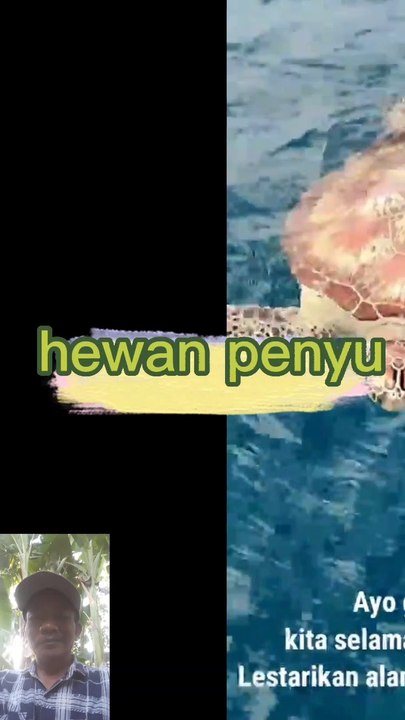Penyu Ter kena pancing
