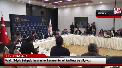 Vahit Kirişci: Sahipsiz hayvanlar konusunda yol haritası belirliyoruz