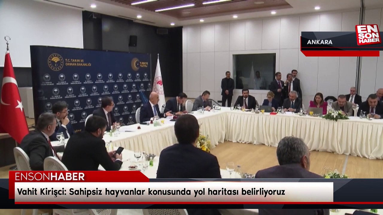 Vahit Kirişci: Sahipsiz hayvanlar konusunda yol haritası belirliyoruz