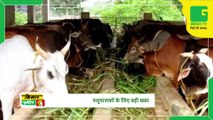 Kisan Bulletin 09 January 2022 - Big news for cattle rearers, now farmers of this state will earn by selling cow dung along with milk | Green TV