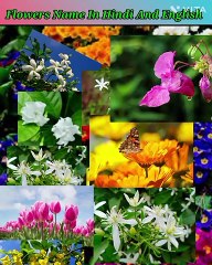 20 Flowers Name In Hindi and English