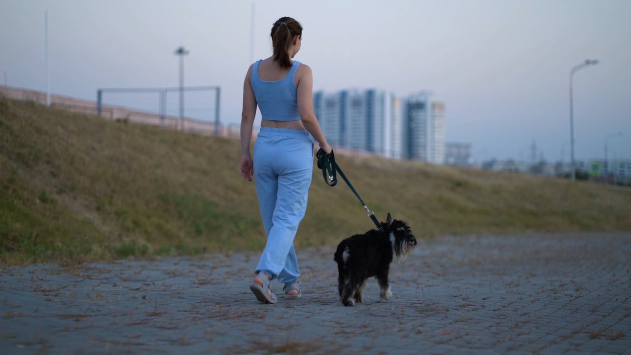 Manchester Headlines 9 January: Four-year-old attacked by dog and police appealing for information