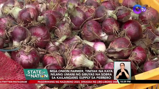 Plano ng DA na mag-angkat ng 22,000 MT ng sibuyas, pinangangambahan ng onion farmers | SONA