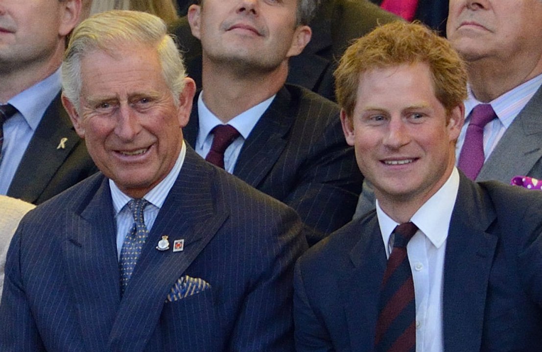 Prince Harry insists he never intended to harm his family
